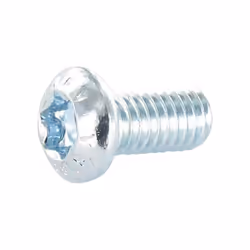 Vis métaux Tête bombée TORX T30 M6X20 Classe 8.8 Acier zingué Autre références : 3617501297067 41026 3663072309739