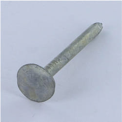 Vis Express - Kg de pointes ardoise Tête extra large tel 3X25 Diamètre de tête: 12 Forte tenue à la corrosion Acier galvanisé-1 piece