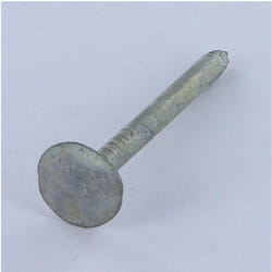 Vis Express - Kg de pointes ardoise Tête extra large tel 3X15 Diamètre de tête: 12 Forte tenue à la corrosion Acier galvanisé-1 piece