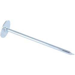 Vis Express - Kg de pointes Embase collerette ronde Diamètre de tête: 20 Acier zingué 3.5X80-1 piece