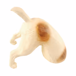 Esschert Design - Fox le terrier marron - Assorti