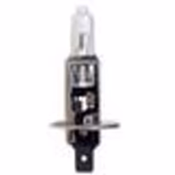 Ampoule H1 - RING - 24V - 70W - Culot P14.5s - Halogène - Utilisation Extérieure
