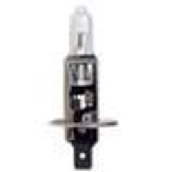 Ampoule H1 - RING - 24V - 70W - Culot P14.5s - Halogène - Utilisation Extérieure