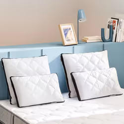Bultex - Oreiller spécial cervicales mousse mémoire 60x60
