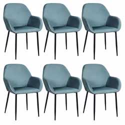 Altobuy 3663738020367, Fauteuil, Velours, Alessia, 560 mm, 600 mm, 850 mm
