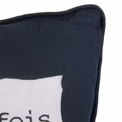 Altobuy 3663738020497 coussin/oreiller/insert décoratif Coussin décoratif