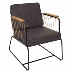 Altobuy 3663738023108, Fauteuil, Simili-cuir, Lucas, 630 mm, 730 mm, 790 mm