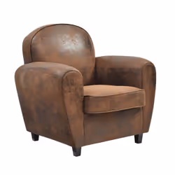 Altobuy 3663738024341, Fauteuil, Microfibre, Ganssi, 890 mm, 850 mm, 860 mm