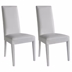 Altobuy 3663738026284, Simili-cuir, Blanc, Bois, Métal, Intérieure, Torino