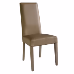 Altobuy 3663738026291 chaise restaurant