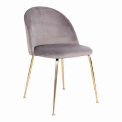Meyrin - Lot de 4 Chaises Velours Gris et Pieds Métal Doré - Gris