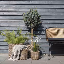 Altobuy 3663738035590 panier et corbeille décoratifs