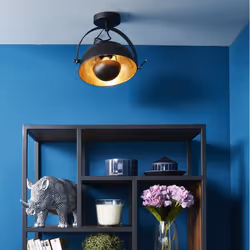 Altobuy 3663738038522 éclairage de plafond Noir