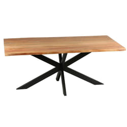 Altobuy 3663738040341 table de cuisine et de salle à manger Maison Forme rectangulaire