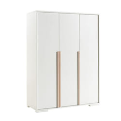Altobuy 3663738040839 placard et armoire de chambre à coucher 3 portes(s)