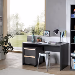 Altobuy 3663738041157 bureau