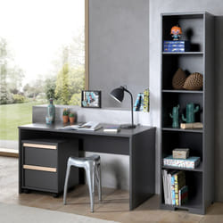 Altobuy 3663738041355 étagères Autonome Tableau à particules Gris, Charbon de bois
