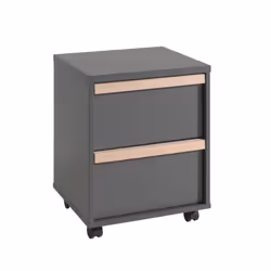 Altobuy 3663738041355 étagères Autonome Tableau à particules Gris, Charbon de bois