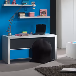 Altobuy 3663738041737 bureau