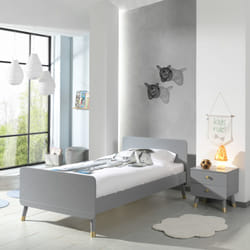 Altobuy 3663738043243 lit Simple standard
