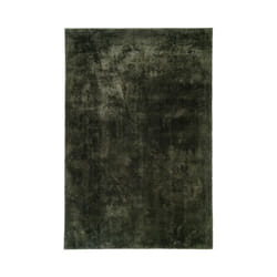 Altobuy 3663738047562 tapis de sol Tissu Vert