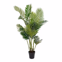 Altobuy 3663738048194, Vert, Plastique, 640 mm, 640 mm, 1750 mm, 1800 mm