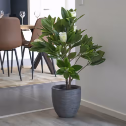 MASSO - Magnolia Décoratif Artificiel Hauteur 90cm