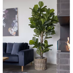 Altobuy 3663738048224 plante artificielle