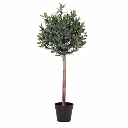 Altobuy 3663738048231, Vert, Plastique, 430 mm, 470 mm, 1200 mm, 1220 mm