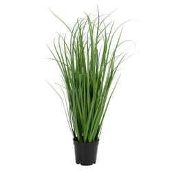 Poana - Pâturin Décoratif Artificiel Hauteur 68cm