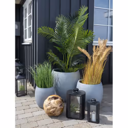 Poana - Pâturin Décoratif Artificiel Hauteur 68cm - Vue supplémentaire 4