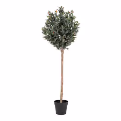 Altobuy 3663738048262, Vert, Plastique, 580 mm, 580 mm, 1500 mm, 1510 mm