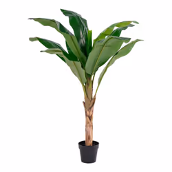 Altobuy 3663738048279, Vert, Plastique, 800 mm, 1050 mm, 1500 mm, 1620 mm