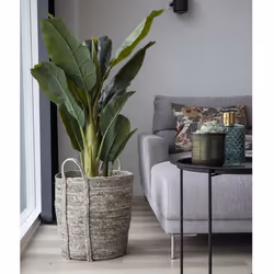 Altobuy 3663738048279 plante artificielle - Vue supplémentaire 5