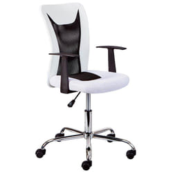 Altobuy - deana - Fauteuil de Bureau sur Roulettes Blanc et Noir