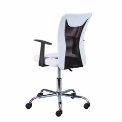 Altobuy - deana - Fauteuil de Bureau sur Roulettes Blanc et Noir