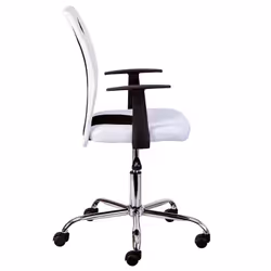 Altobuy - deana - Fauteuil de Bureau sur Roulettes Blanc et Noir