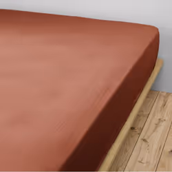 Altobuy 3663738066624 drap de lit 90 x 190 cm Eponge Coton