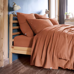 Altobuy 3663738069489 drap de lit 270 x 300 cm Coton