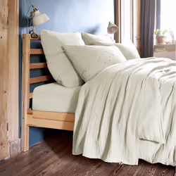 Altobuy 3663738069519 drap de lit 270 x 300 cm Coton