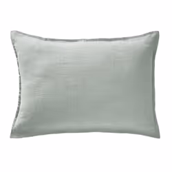 Altobuy 3663738073509, Gris, Lin, Adulte, Margaux, Inde, 50 x 70 cm