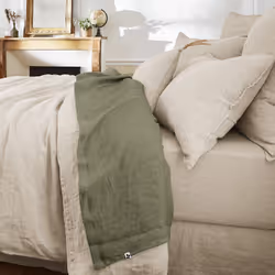 Altobuy 3663738073813, Drap de lit, Lin, 270 x 300 cm, Vert, Inde, 340 mm