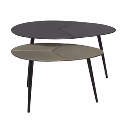 BRADLEY - Lot de 2 Tables Acier Finition Doré Antique et Noire
