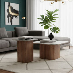 ANGELE - Lot de 2 Tables Basses Plateau Marbre Naturel Piètement Acacia