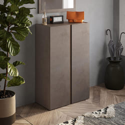 KADER - Meuble à chaussures 2 portes brun et aspect bois finition Mercure