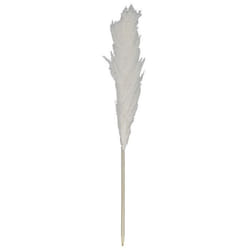 Pampa naturelle beige en roseau séché hauteur 120 cm