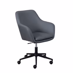 Altobuy 3663738519649 bureau