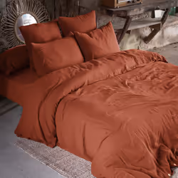 Altobuy 3663738593526 drap de lit 180 x 200 cm Eponge Coton