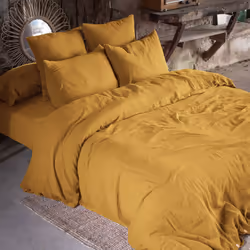 Altobuy 3663738593779 Taie d'oreiller Jaune 50 x 70 cm Coton