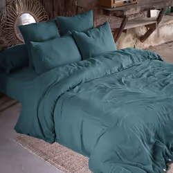 Altobuy 3663738593786 Taie d'oreiller Bleu 50 x 70 cm Coton